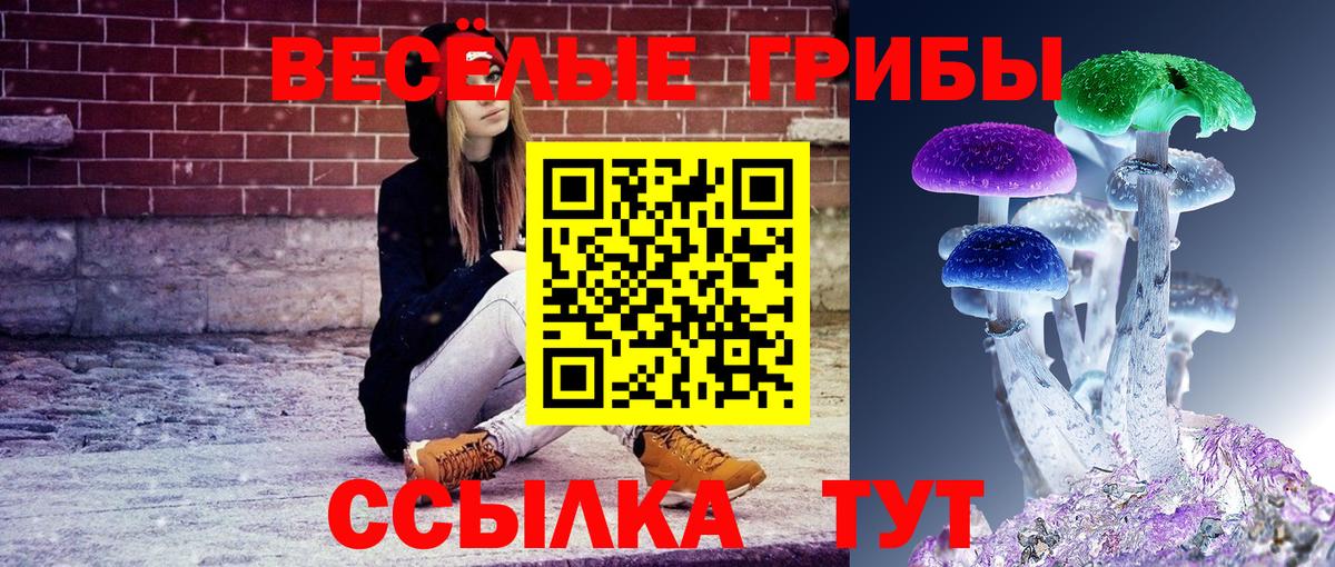 Галлюциногенные грибы Magic Shrooms Кимовск