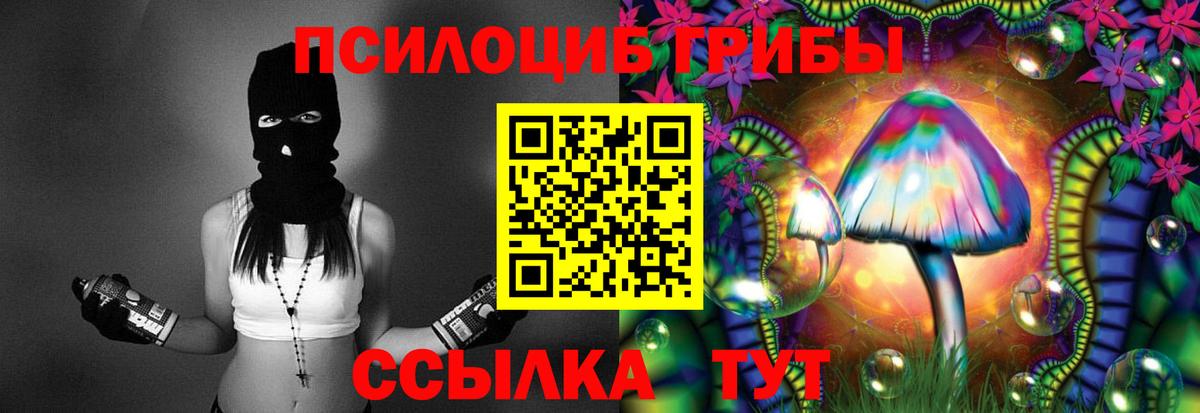 Кимовск  Галлюциногенные грибы MAGIC MUSHROOMS  Вход с VPN 